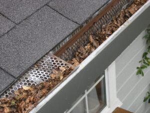 fallen gutter guard with leaves in gutter