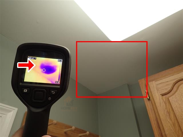 infrared detecting water leak