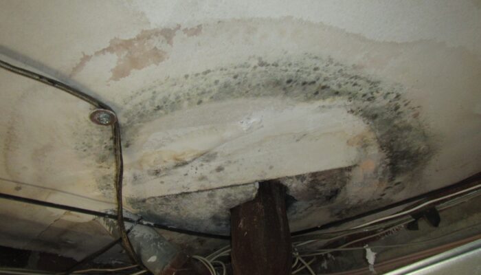 Mold on ceiling around dwv pipe