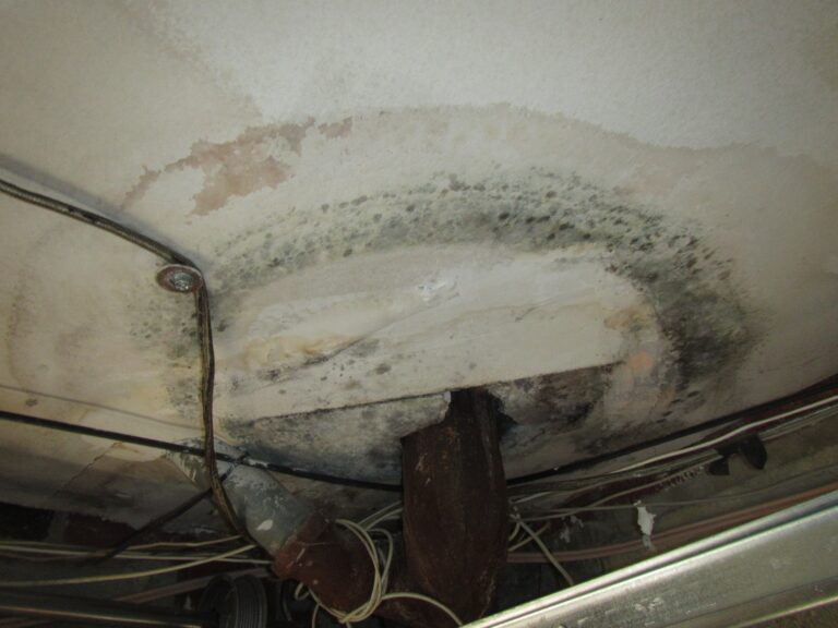 Mold on ceiling around dwv pipe