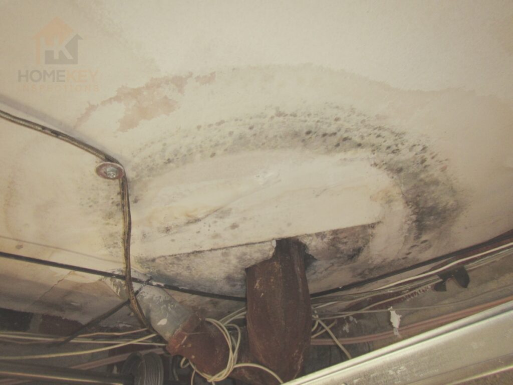 mold on garage ceiling