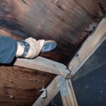 moisture meter verifying roof leak from attic